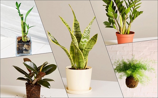 7 nguyên tắc cần biết khi trang trí nhà cửa